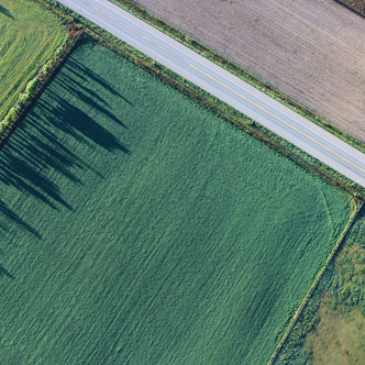 Land Investment / Acquisition